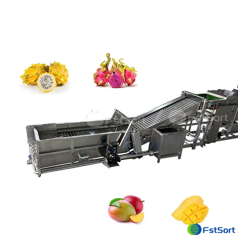 images/1763536826344mango 2.jpg